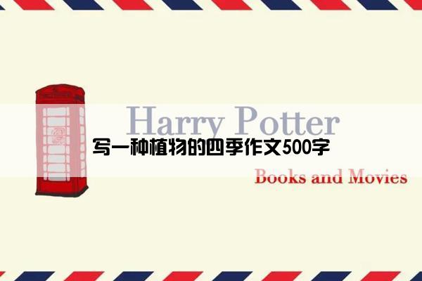 写一种植物的四季作文500字