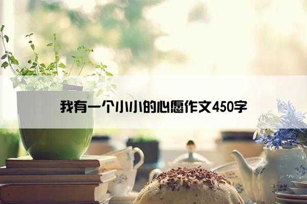 我有一个小小的心愿作文450字