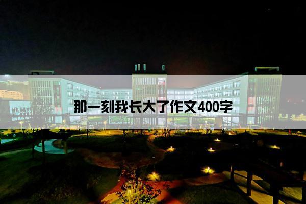 那一刻我长大了作文400字