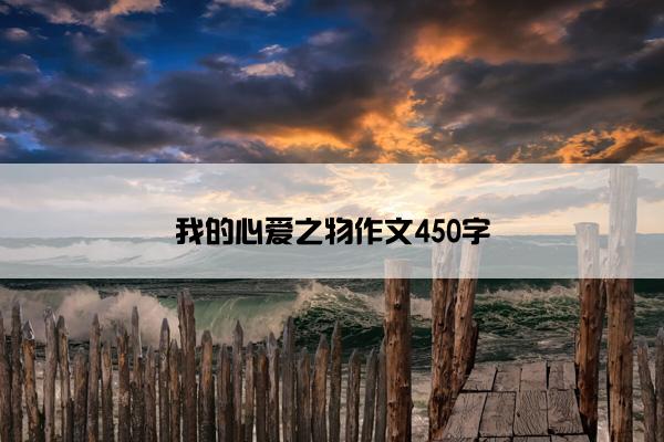 我的心爱之物作文450字