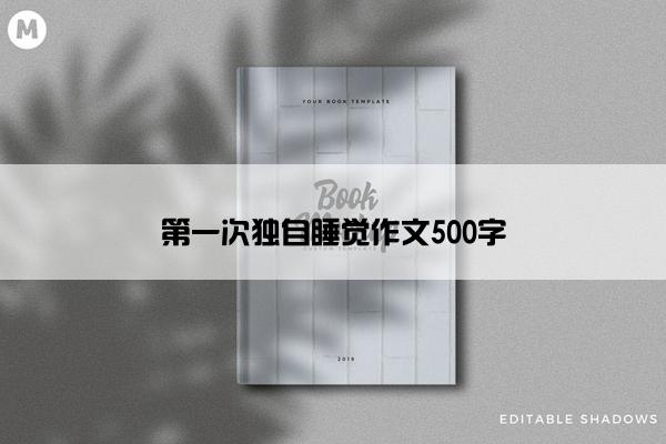 第一次独自睡觉作文500字