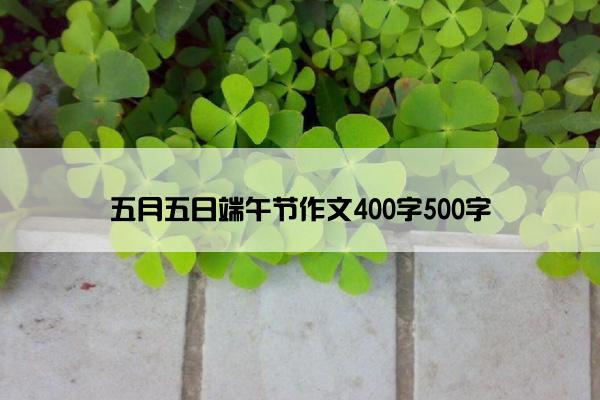 五月五日端午节作文400字500字