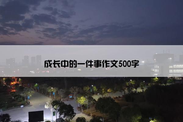成长中的一件事作文500字
