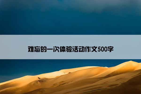 难忘的一次体验活动作文500字