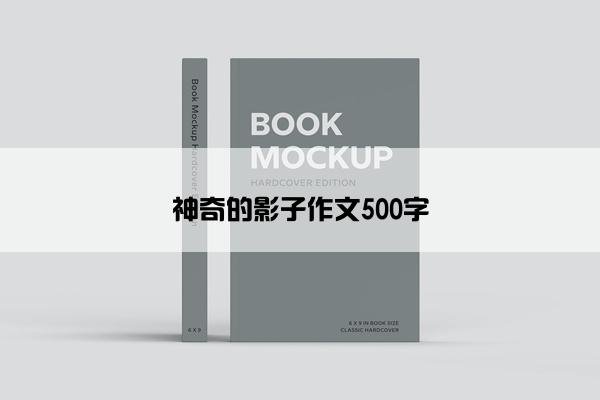 神奇的影子作文500字