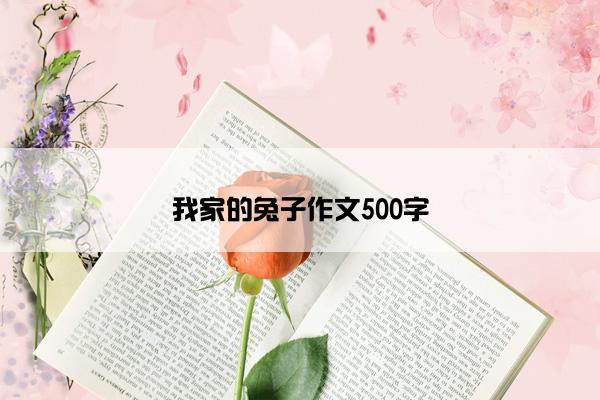 我家的兔子作文500字