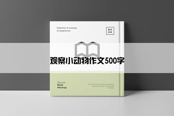 观察小动物作文500字