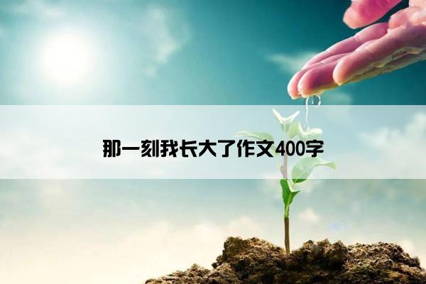 那一刻我长大了作文400字