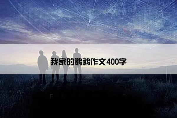 我家的鹦鹉作文400字