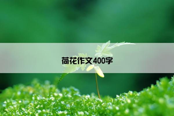 荷花作文400字