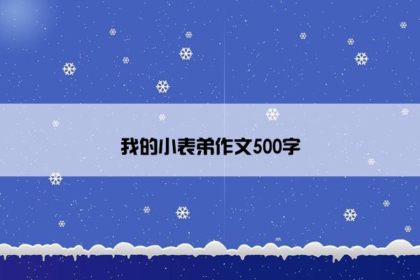 我的小表弟作文500字