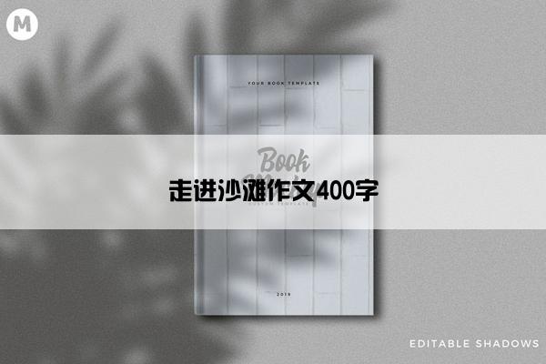 走进沙滩作文400字