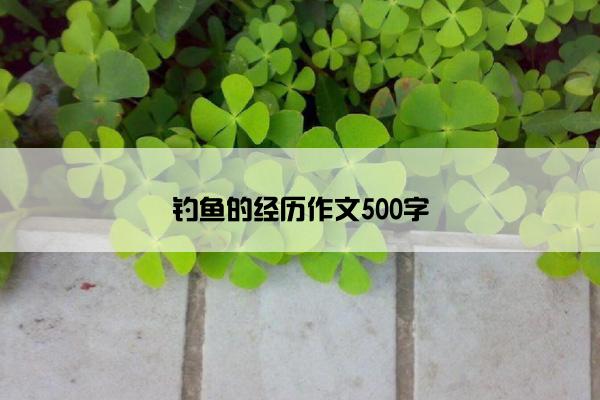 钓鱼的经历作文500字