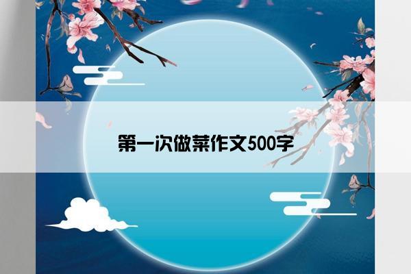 第一次做菜作文500字