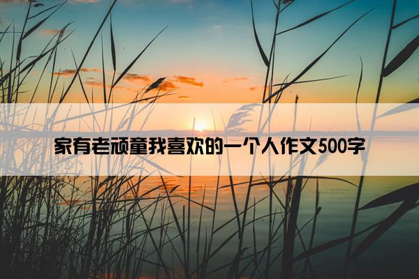 家有老顽童我喜欢的一个人作文500字