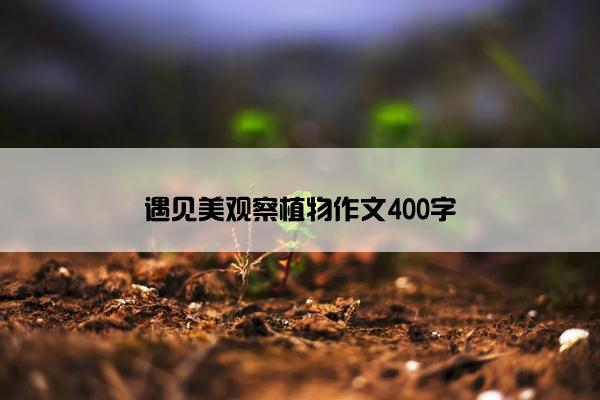 遇见美观察植物作文400字