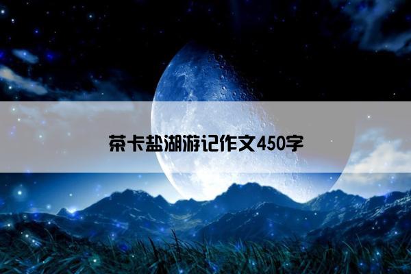 茶卡盐湖游记作文450字