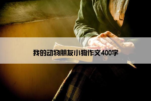 我的动物朋友小狗作文400字