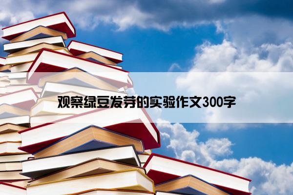 观察绿豆发芽的实验作文300字