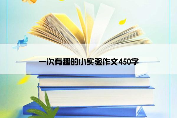 一次有趣的小实验作文450字