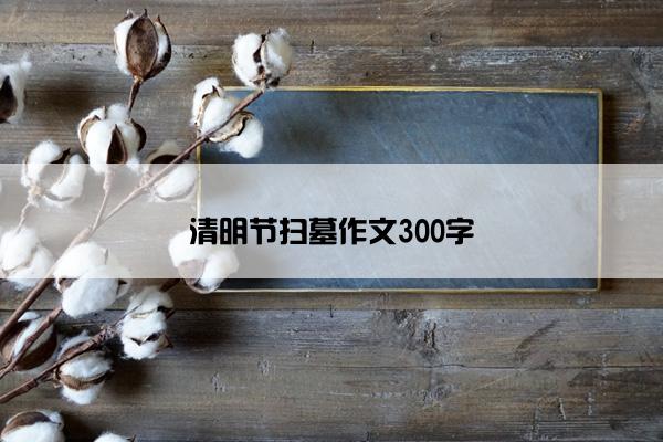 清明节扫墓作文300字