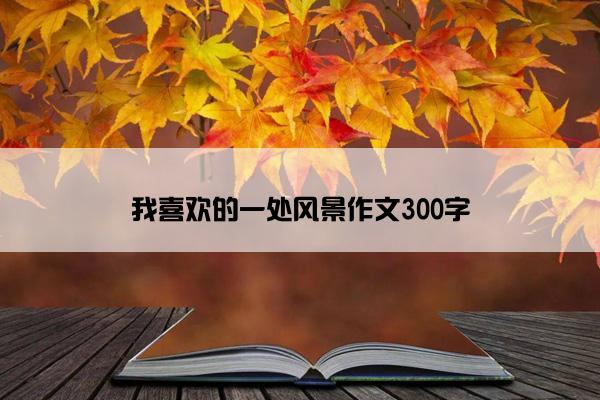 我喜欢的一处风景作文300字
