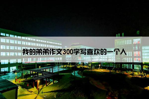 我的弟弟作文300字写喜欢的一个人