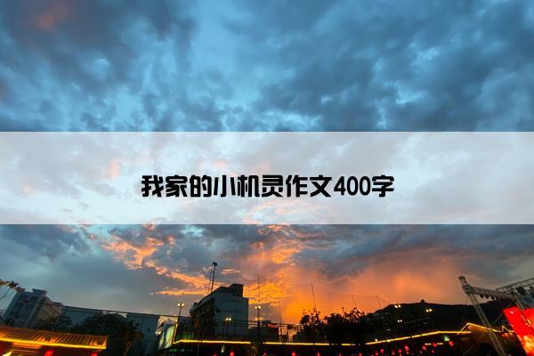我家的小机灵作文400字