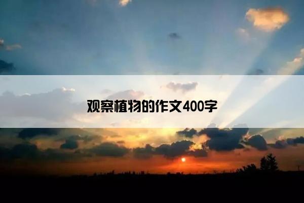 观察植物的作文400字