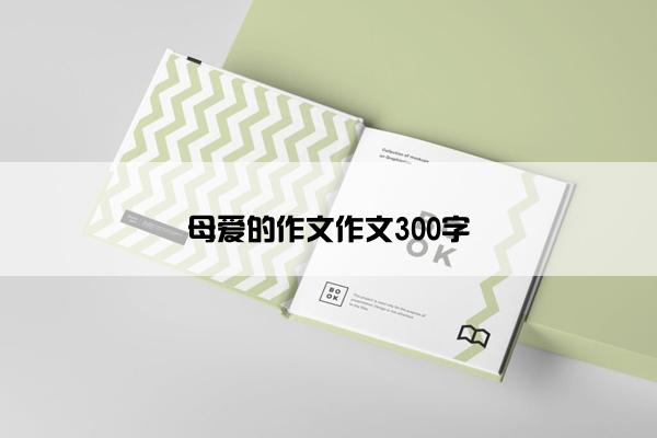 母爱的作文作文300字