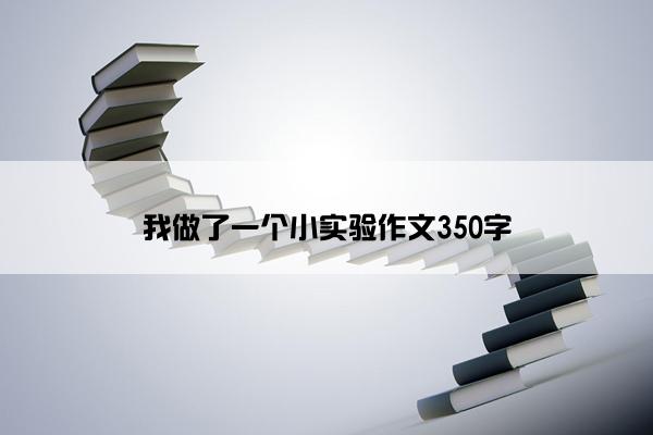 我做了一个小实验作文350字