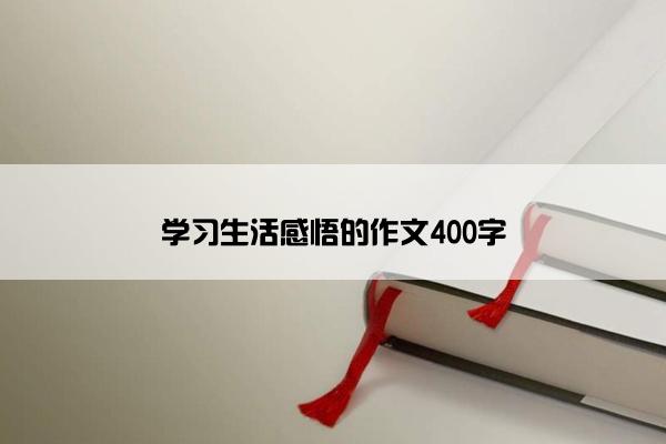 学习生活感悟的作文400字