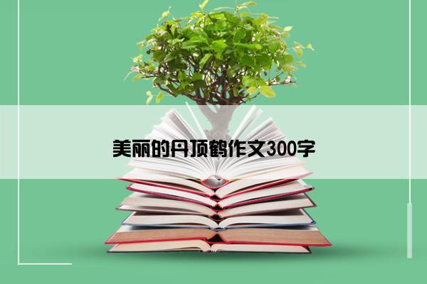 美丽的丹顶鹤作文300字