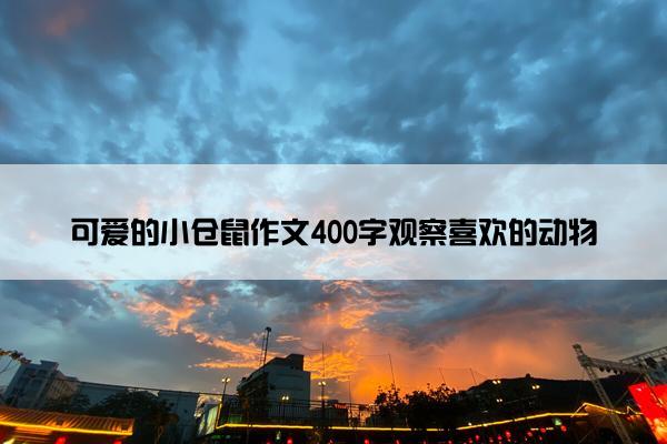 可爱的小仓鼠作文400字观察喜欢的动物