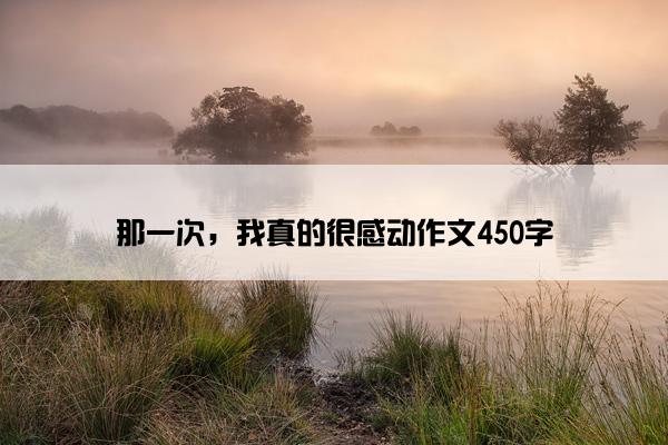 那一次，我真的很感动作文450字