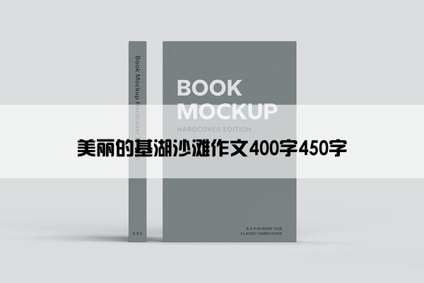 美丽的基湖沙滩作文400字450字