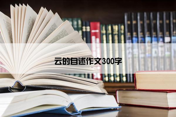 云的自述作文300字