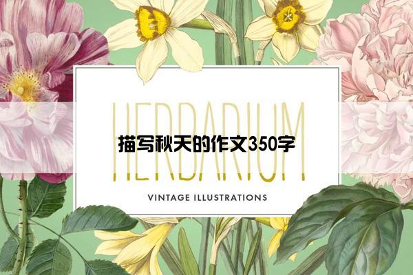 描写秋天的作文350字