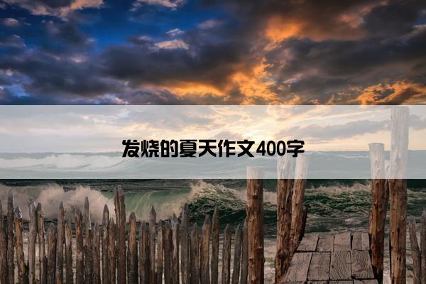 发烧的夏天作文400字