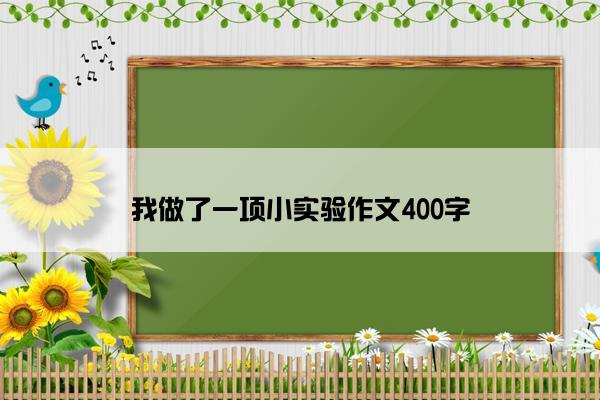 我做了一项小实验作文400字