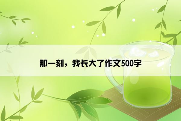 那一刻，我长大了作文500字