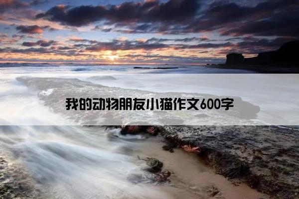 我的动物朋友小猫作文600字