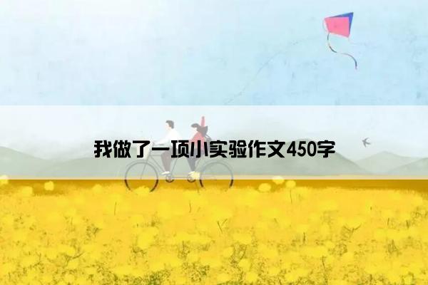 我做了一项小实验作文450字