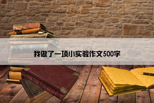 我做了一项小实验作文500字