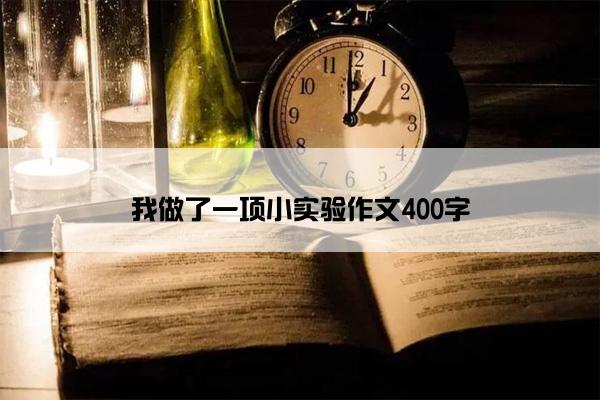 我做了一项小实验作文400字