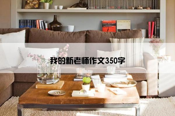 我的新老师作文350字