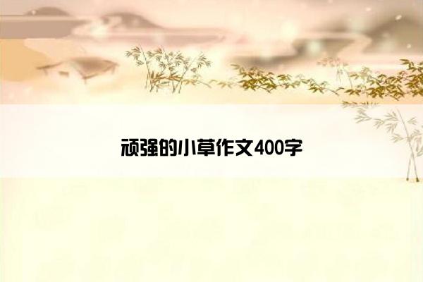 顽强的小草作文400字