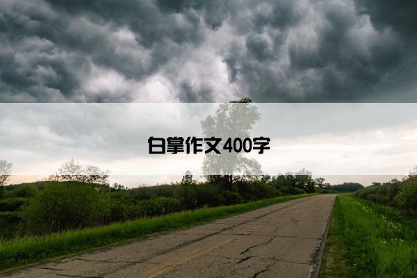 白掌作文400字