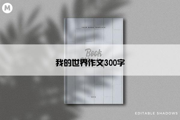 我的世界作文300字
