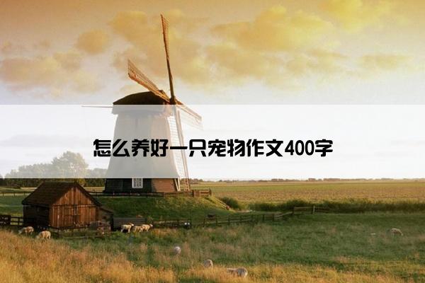 怎么养好一只宠物作文400字